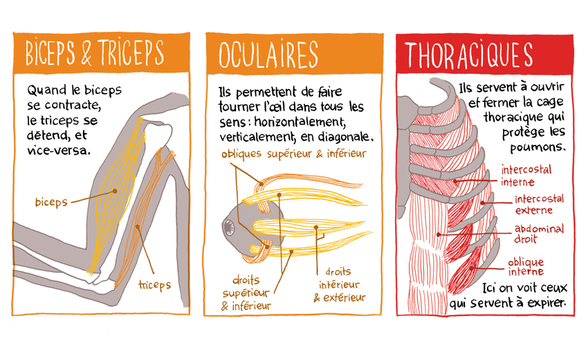 Documentaires Biscoto